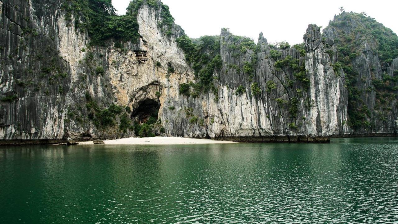Cat Ba Green Bamboo Forest Dong Khe Sau Exteriör bild